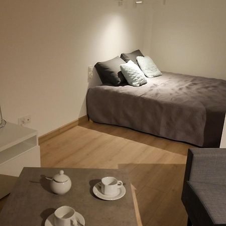 Auschwitz New Flat For Rent Air Conditioning In The Apartament Oswiecim Nowe Mieszkanie - Centrum Klimatyzacja W Mieszkaniu 아파트 외부 사진