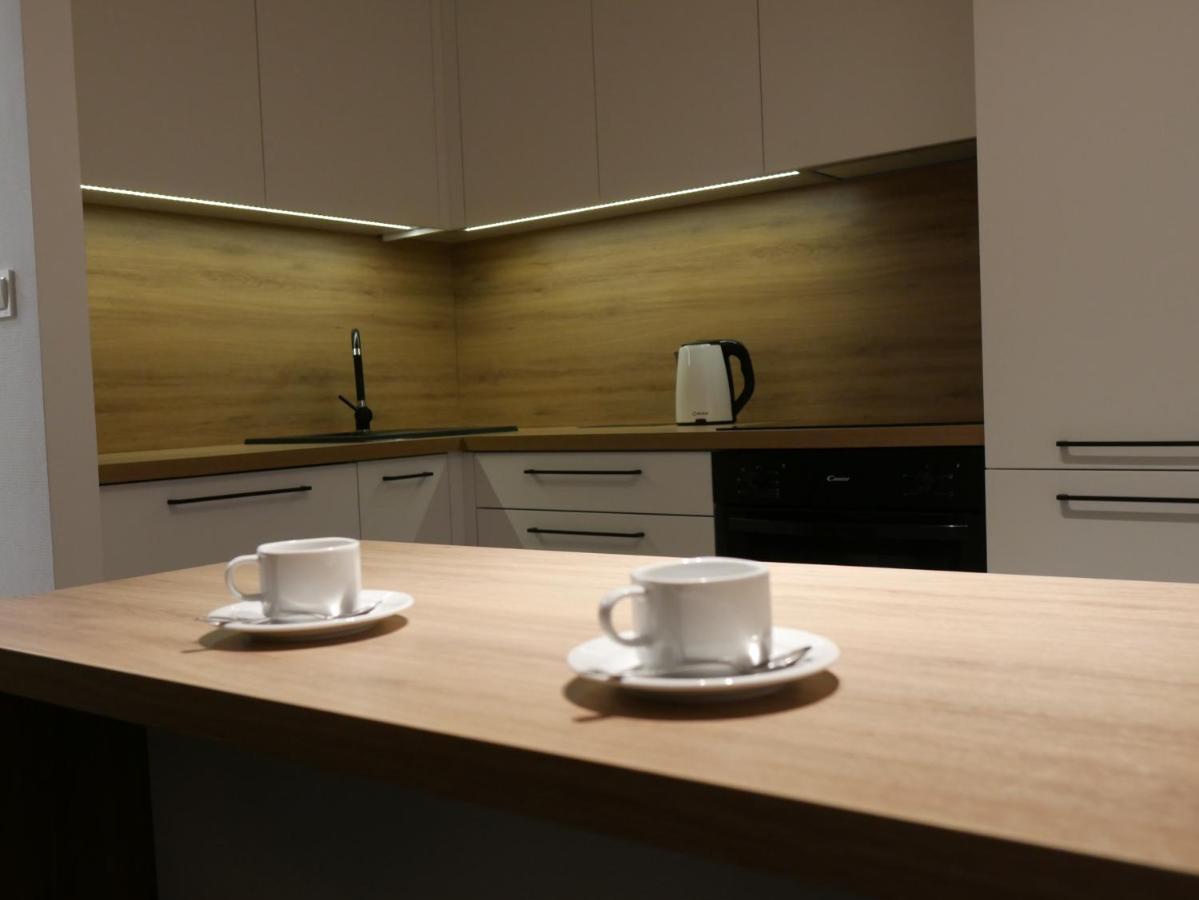 Auschwitz New Flat For Rent Air Conditioning In The Apartament Oswiecim Nowe Mieszkanie - Centrum Klimatyzacja W Mieszkaniu 아파트 외부 사진