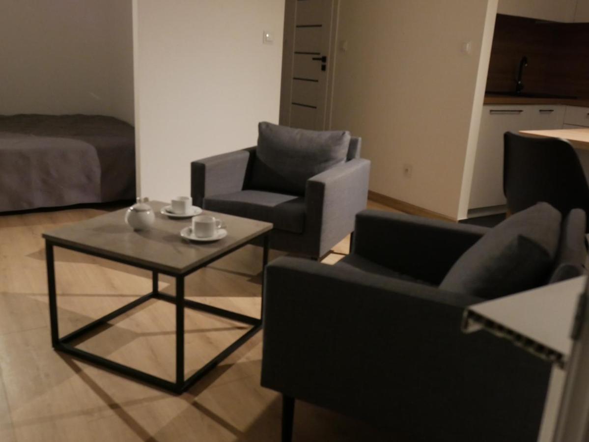 Auschwitz New Flat For Rent Air Conditioning In The Apartament Oswiecim Nowe Mieszkanie - Centrum Klimatyzacja W Mieszkaniu 아파트 외부 사진